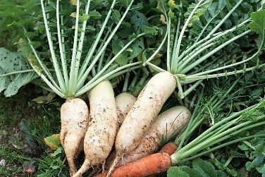 �＾�سԺ��� �������ʺϳԵ�ʳ�� www.027eat.com