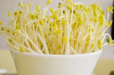 �＾�سԺ��� �������ʺϳԵ�ʳ�� www.027eat.com