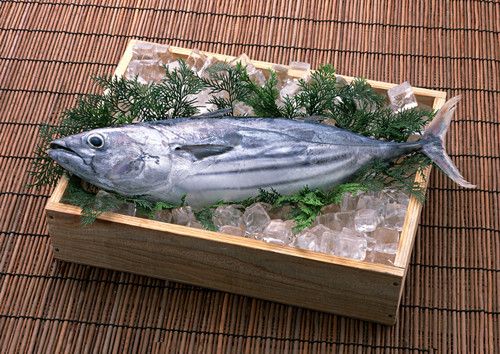 �����ǽ�����4�󷨱� www.027eat.com