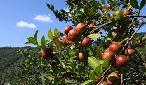 ���������������� ��5������������ www.027eat.com