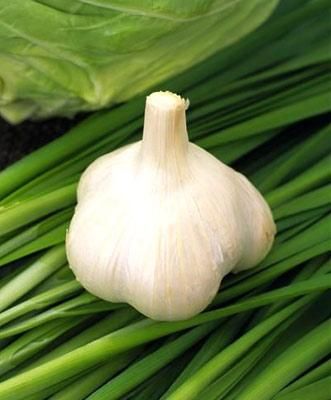 �����ڳ�ʲô?����߲˱����� www.027eat.com