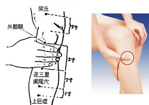 ʮ�������Ѩ�İ�Ħ���� www.027eat.com