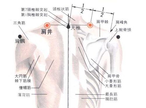 ʮ�������Ѩ�İ�Ħ���� www.027eat.com