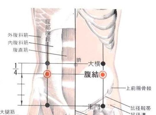 ʮ�������Ѩ�İ�Ħ���� www.027eat.com