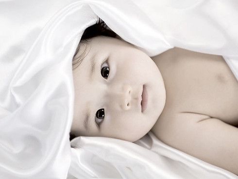 �׶�����֪ʶ �׶��＾�������� www.027eat.com