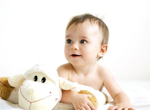 �׶�����֪ʶ �׶��＾�������� www.027eat.com