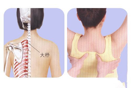 �������� ��Ħ3��Ѩλ����3��ְҵ�� www.027eat.com