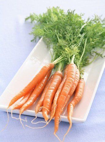 ���������߲� ����������� www.027eat.com