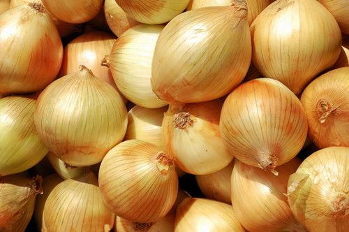 ���򲡳���еĺô�   ���򲡳���кô��� www.027eat.com