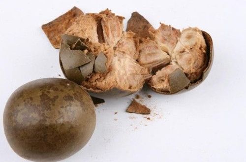 �����ʩԶ��������� www.027eat.com