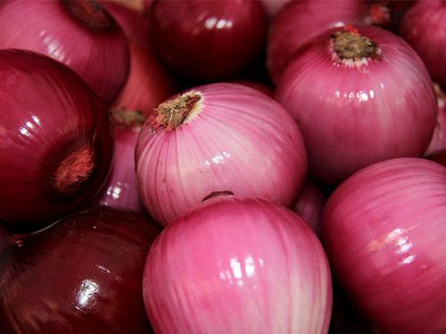 Ԥ��θ���Ļƽ�ʳ��ѡ�� www.027eat.com