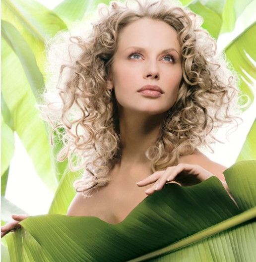 SPA��������SPA�������׻��� www.027eat.com