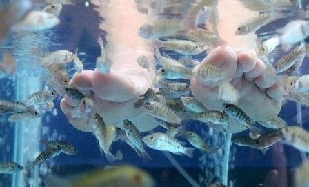 ����SPA���ƴ ���SPA������ www.027eat.com