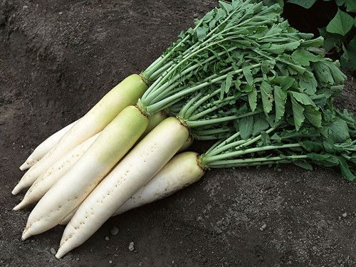 ������ô�� �ܲ����ο����� www.027eat.com