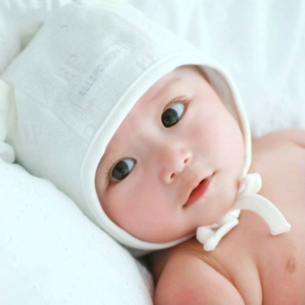 ���Ƴ�����ʮ������ www.027eat.com