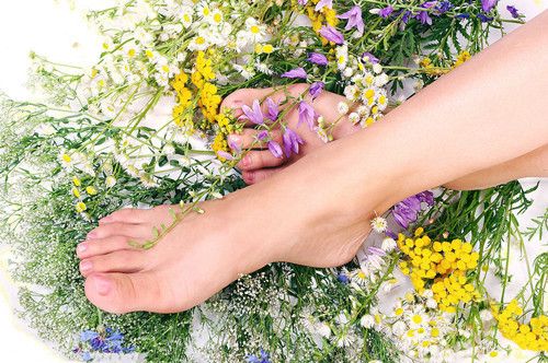 ��ҽ���Ƶ�ѧ˵ www.027eat.com