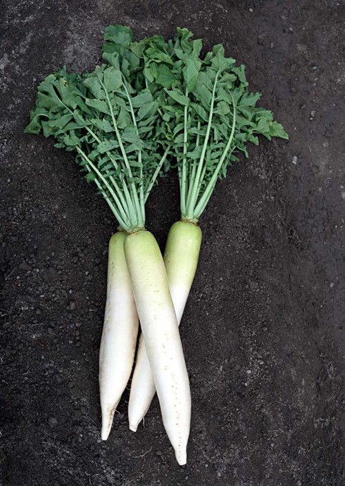 �＾��¶��Ӧ��Ը��� www.027eat.com