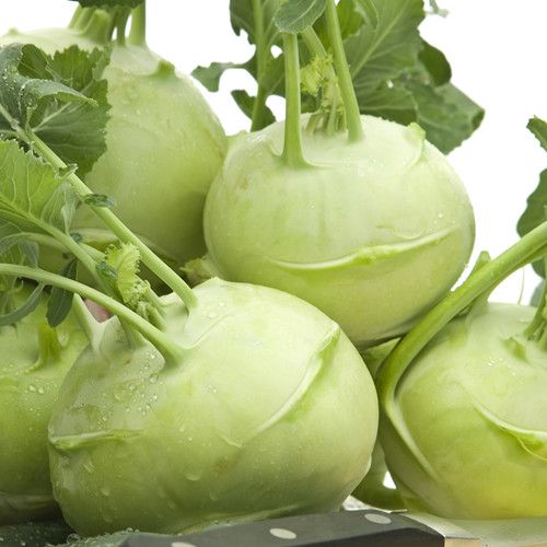 �＾��¶��Ӧ��Ը��� www.027eat.com