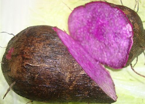 �＾��¶��Ӧ��Ը��� www.027eat.com