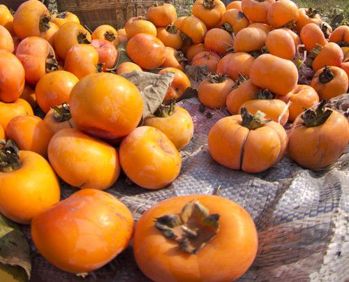 �＾������Ҫע��N����ʳ���� www.027eat.com