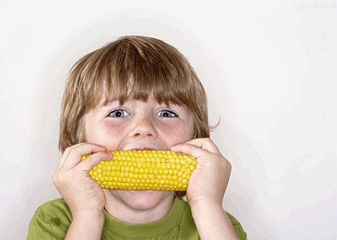 ����������ô��� ���㼸�м�ͥ�Ʒ� www.027eat.com