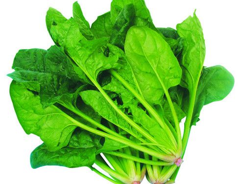 ���� Ů�����&ldquo;��ҩˮ&rdquo; www.027eat.com