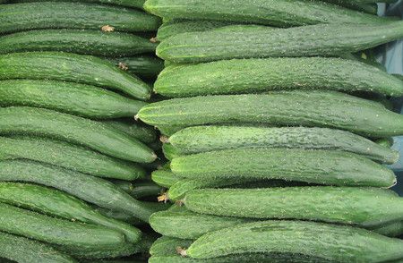 �������߲���������� www.027eat.com