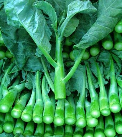 �������߲���������� www.027eat.com