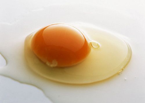 �ļ�ȱѪ��ʲôʳ�� www.027eat.com