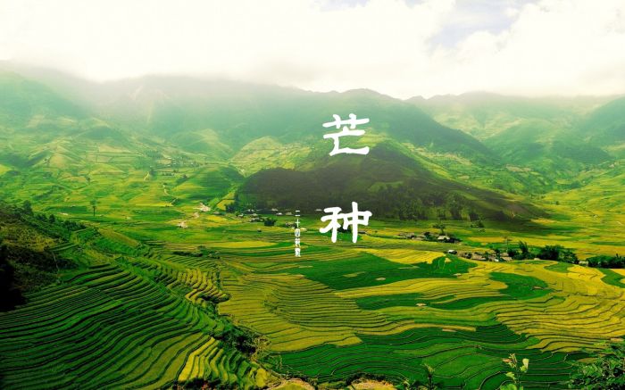 â��ʱ���������� ��˯����ƽ��ȥ�� www.027eat.com