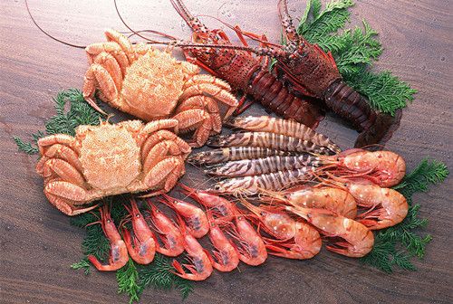 ��������ô�� �����ط��ο��Ժõÿ� www.027eat.com