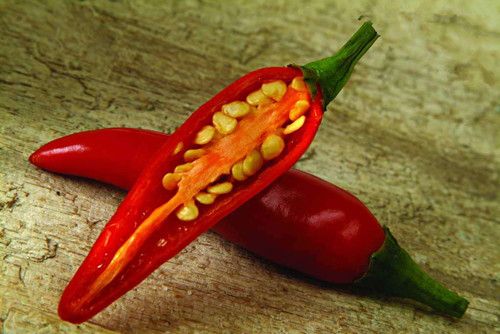 �������� �˴�Բ�����ӵ������ www.027eat.com