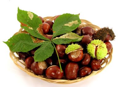 ���������˴�Ʒ �̲��ֱ��� www.027eat.com