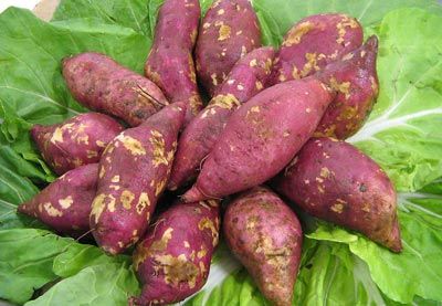 ���������˴�Ʒ �̲��ֱ��� www.027eat.com