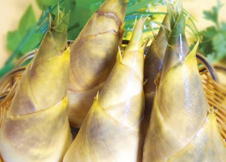 ���������˴�Ʒ �̲��ֱ��� www.027eat.com