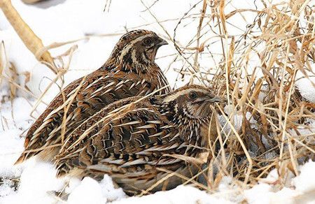 �������������������� www.027eat.com