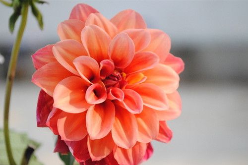 �����ݽŻ��������� 4��������������� www.027eat.com