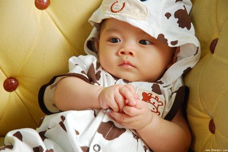 Ӧ�Ա������õ�С���� www.027eat.com