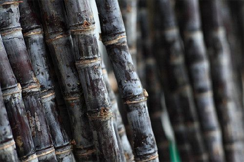 ���ֲ���Ѫʳ�Ĳ���С�� www.027eat.com