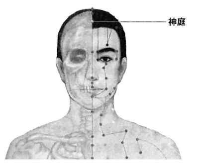 ������ͥѨ ���ѧϰЧ�ʵĴ���Ѩ www.027eat.com