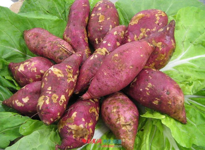 �������ܳԺ�����? www.027eat.com