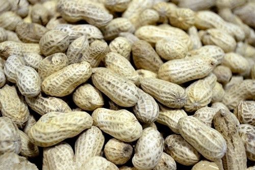 ����������ʲô 6ʳ���ů���� www.027eat.com