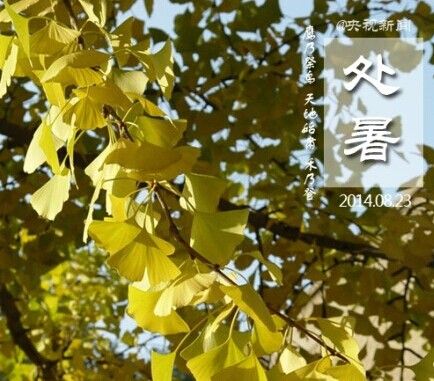 ����������� ��ʳס��Ҫע�� www.027eat.com