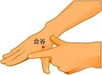 ��������������Ѩλ��Ѫ��ů www.027eat.com