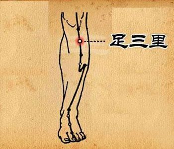 ��Ħ�ڹ�Ѩ���Ĺ� ����6������Ѩλ www.027eat.com