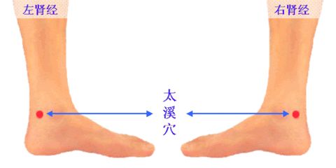 ��Ħ�ڹ�Ѩ���Ĺ� ����6������Ѩλ www.027eat.com