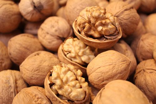 �ļ�ȱѪ��ʳע������ www.027eat.com