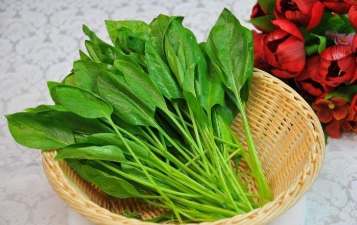 �＾��ʲô������ ����ȱ�ٵ�����Ӫ���߹� www.027eat.com