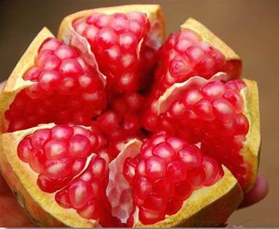 秋季吃什么最养生 不可缺少的七种营养蔬果 www.027eat.com