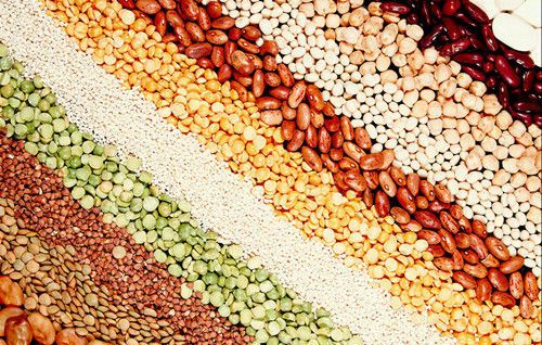 �ļ�ȱѪ��ô�� �����ļ�ȱѪ��ƫ�� www.027eat.com